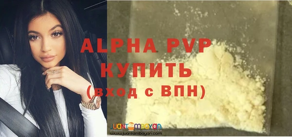 шишки Нязепетровск