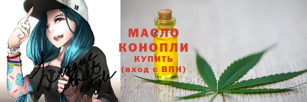 шишки Нязепетровск