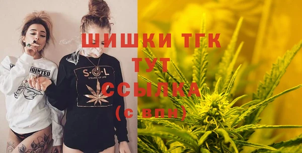 дживик Елабуга