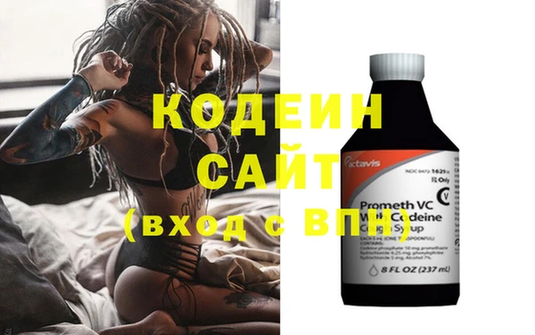 шишки Нязепетровск