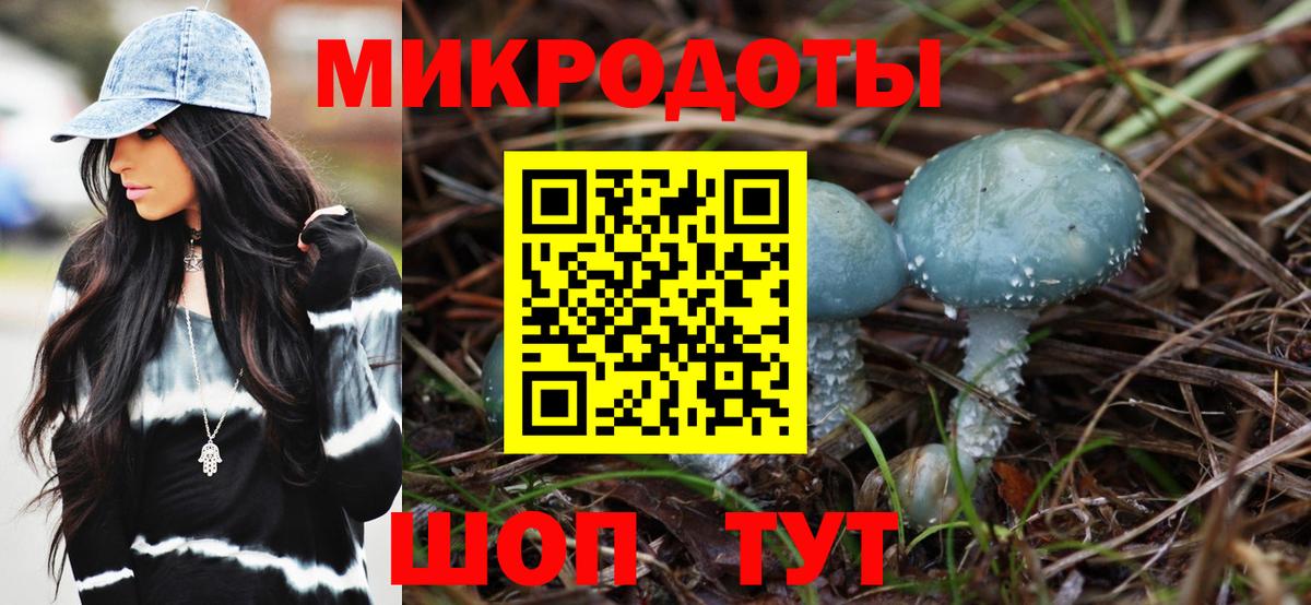 Псилоцибиновые грибы мицелий  Псилоцибиновые грибы Cubensis  Северск  Вход с VPN 