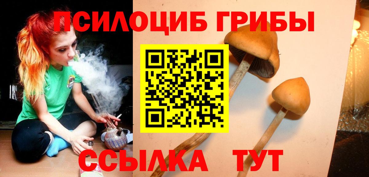 Псилоцибиновые грибы MAGIC MUSHROOMS  Северск 