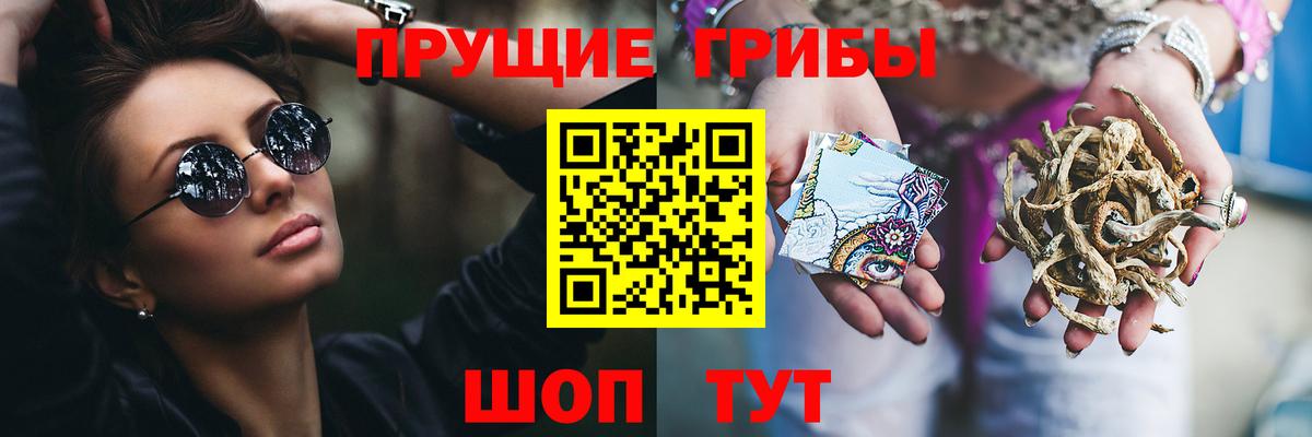 Галлюциногенные грибы Psilocybe Северск